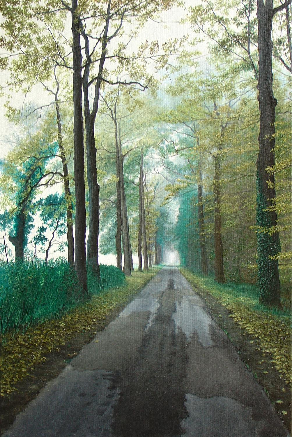 Sebastian Dohe